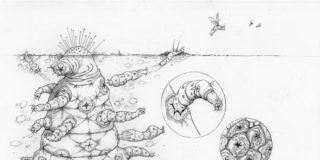 Alien: As&iacute; ser&iacute;a realmente un extraterrestre seg&uacute;n creen los expertos
