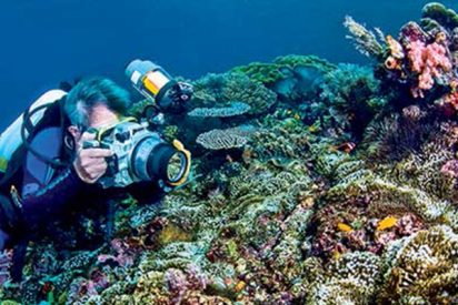 &iquest;Sab&iacute;as que poner altavoces al lado de los arrecifes de coral muertos ayuda a resucitarlos?
