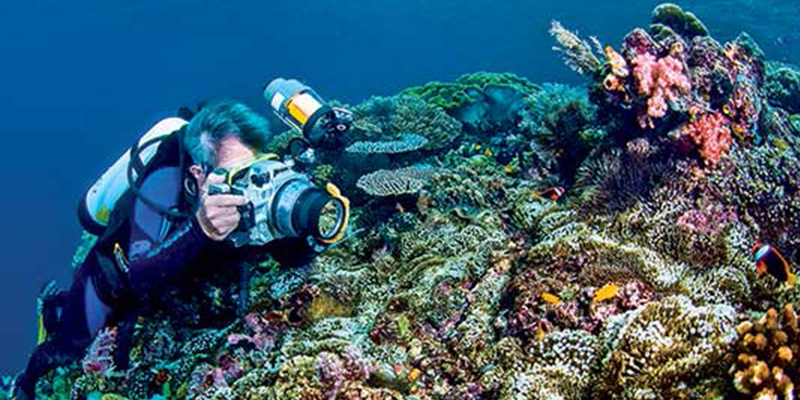 &iquest;Sab&iacute;as que poner altavoces al lado de los arrecifes de coral muertos ayuda a resucitarlos?