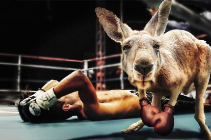 Feroz pelea entre canguros al estilo 'machotes' de pel&iacute;cula de Hollywood