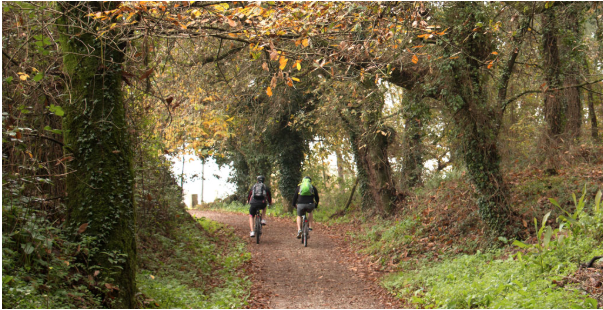 El Camino de Santiago en otoño, conoce Galicia de una manera diferente