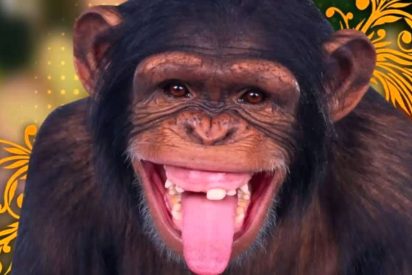 Chiste: el del camarero y la cucharilla 'sexual'