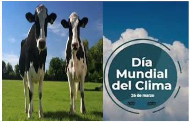Manuel del Rosal: "Una m&aacute;s sobre el cambio clim&aacute;tico: Las vacas son culpables"