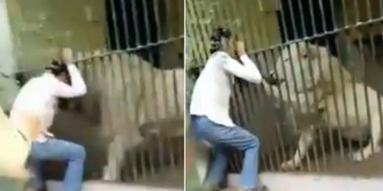 Le&oacute;n ataca a su cuidador en un zool&oacute;gico ante los aterrorizados ojos de los visitantes