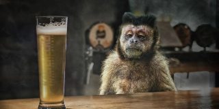 Las cervezas m&aacute;s populares del mundo