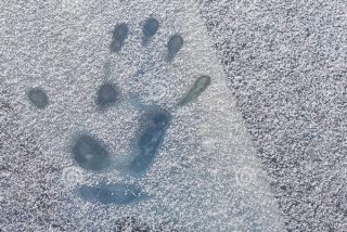 Muere congelado un beb&eacute; al que sus padres olvidaron 5 horas en el balc&oacute;n a 20 grados bajo cero