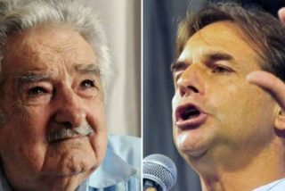 Uruguay: El plan de repoblaci&oacute;n del pa&iacute;s con m&aacute;s vacas que personas (que no le gusta a la izquierda)