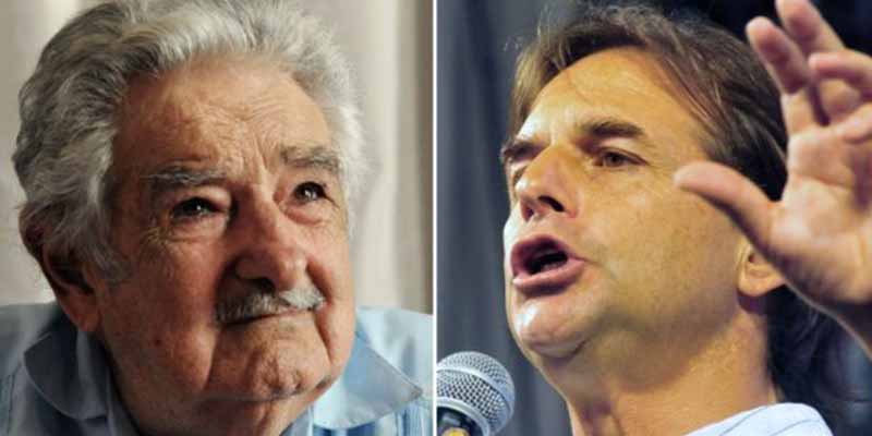 Uruguay: El plan de repoblación del país con más vacas que personas (que no le gusta a la izquierda)