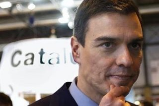 El xen&oacute;fobo Torra se rebela contra el Estado de Derecho y el claudicante S&aacute;nchez no dice ni p&iacute;o