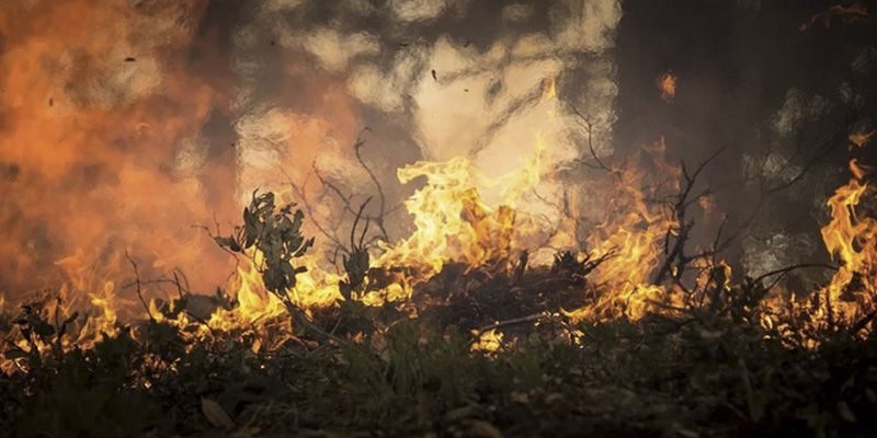 Incendios en Australia: por qu&eacute; son tan feroces, matan tanta gente y parecen imposibles de parar