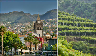 Madeira a través de su gastronomía