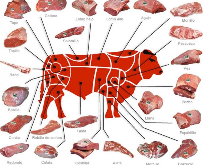 partes de la ternera