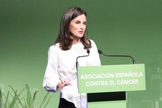 La Reina Letizia y el enigma (resuelto) de su prenda 'low cost' m&aacute;s viral