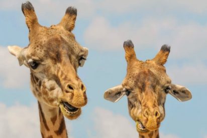 Pron&oacute;stico del Tiempo: alerta por calor en algunas regiones este 30 de julio de 2021