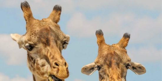 Pron&oacute;stico del Tiempo para este martes 17 de febrero de 2026