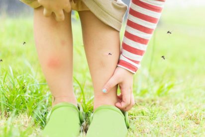 &iquest;Por qu&eacute; los mosquitos pican a unos y no a otros y casi siempre en los tobillos?