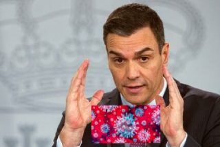 Cuando la periodista de CNN pill&oacute; a S&aacute;nchez con los pantalones bajados y sin papel... higi&eacute;nico