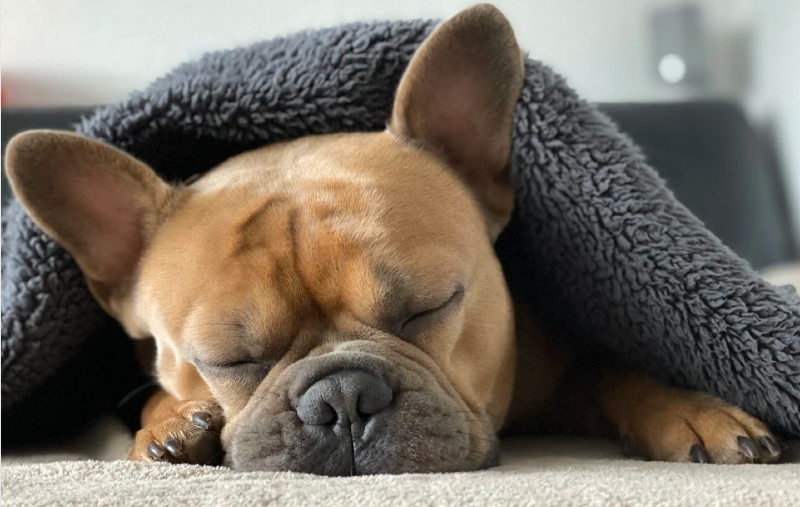 Pronóstico del Tiempo: calor, tormentas y avisos en España este viernes 20 de junio de 2025