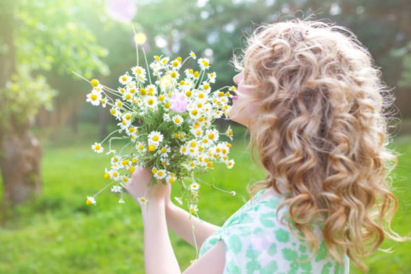 Beneficios del champ&uacute; de camomila ?