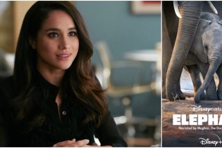 La reaparici&oacute;n de Meghan Markle en televisi&oacute;n: esto es lo que la cr&iacute;tica opina de ella