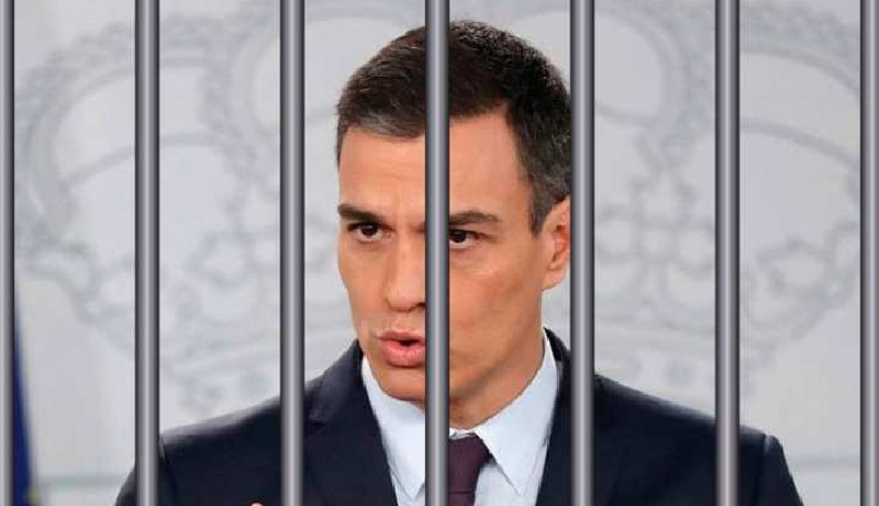 El Consejo de Enfermer&iacute;a se querella contra S&aacute;nchez por un delito penado hasta con 3 a&ntilde;os de prisi&oacute;n