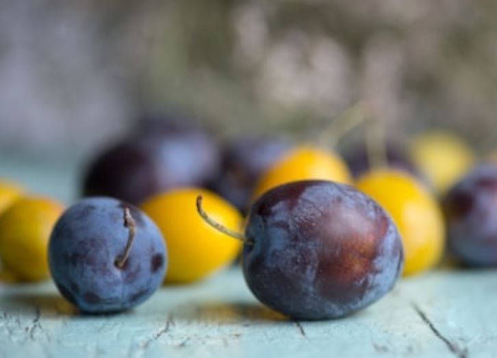 Propiedades de las ciruelas