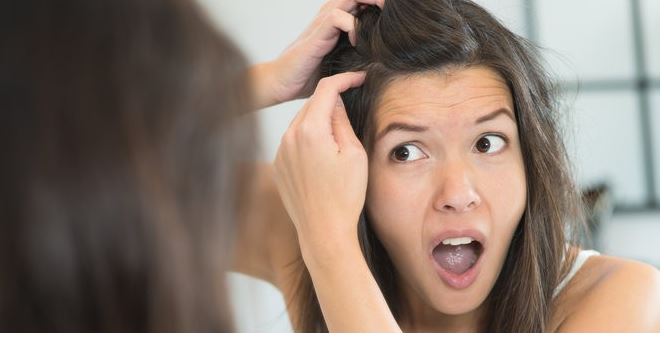 Mejores anticanas 2020