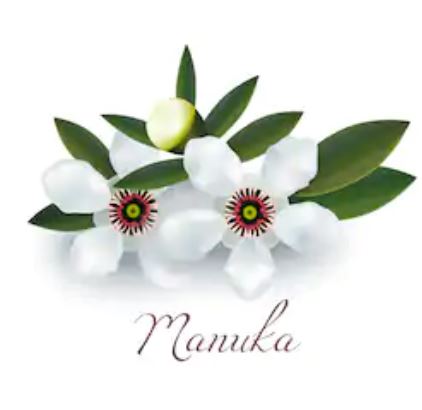 Miel de manuka propiedades 