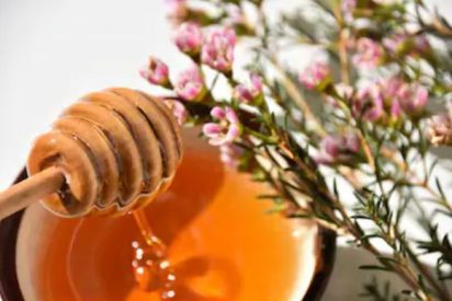 Miel de manuka