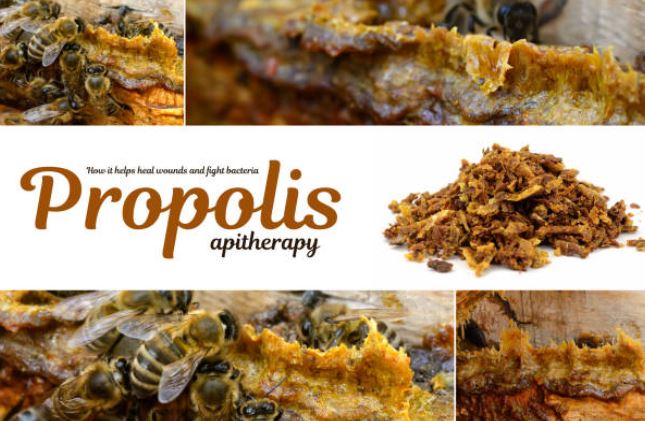 Beneficios del propóleo para la piel