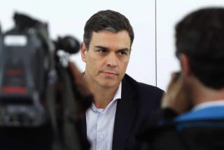 Una psicóloga descuartiza en directo en TV a Pedro Sánchez: 