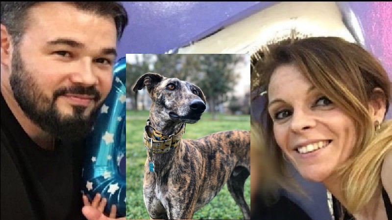 Mireia Varela, ex de Gabriel Rufi&aacute;n, adopta un perro y lo llama 'Rufi'