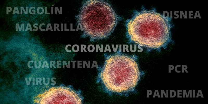 Diccionario de la crisis del coronavirus en Espa&ntilde;a: consulte los t&eacute;rminos m&aacute;s utilizados durante la pandemia