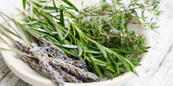 Hierbas arom&aacute;ticas: esta es la mejor forma de guardarlas