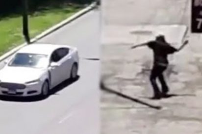 Karma: el tipo tira piedras a los coches y le cae la del pulpo