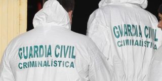 Los peritos forenses en su actuaci&oacute;n ante los juzgados y tribunales