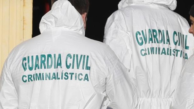 Los peritos forenses en su actuaci&oacute;n ante los juzgados y tribunales