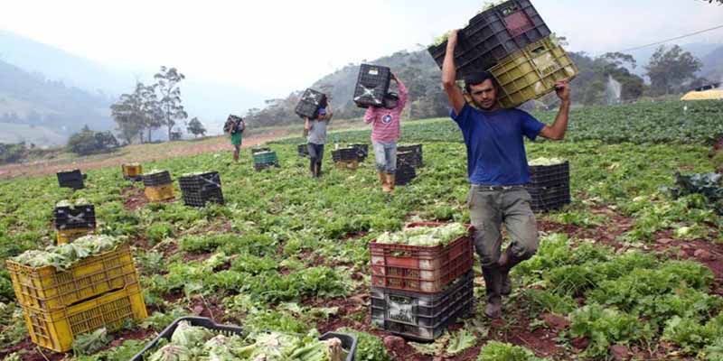 La Venezuela chavista al borde de la hambruna: la escasez de gasolina agudiza la crisis en los campos