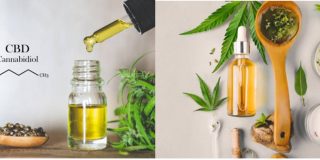 Diferencias entre el aceite de c&aacute;&ntilde;amo y CBD