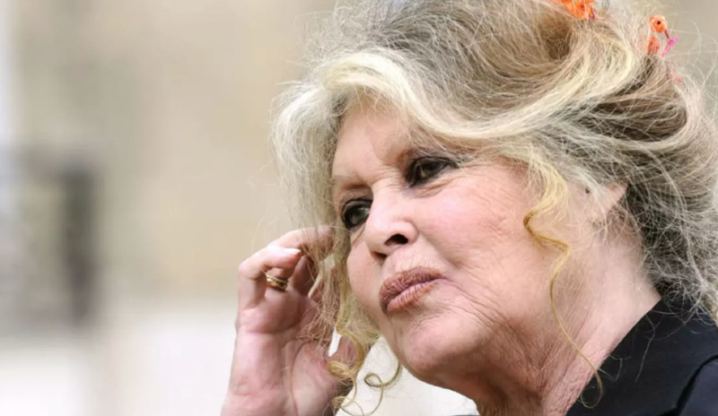 La eterna Brigitte Bardot hospitalizada por enfermedad grave