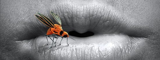 El mito de la &lsquo;sangre dulce&rsquo;: &iquest;sabes por qu&eacute; los mosquitos te pican m&aacute;s que a los dem&aacute;s?