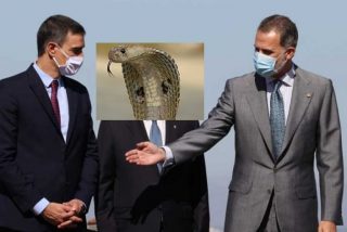 El socialista Pedro S&aacute;nchez le hace la 'cobra' al Rey Felipe VI