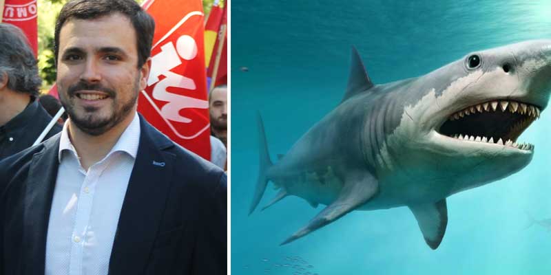 Recital de zascas al ministro Garzón por tuitear muy preocupado por el "drama" de los tiburones con la que está cayendo en España