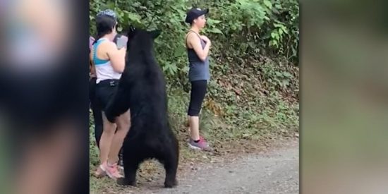 &iquest;Te har&iacute;as un selfie en pleno 'ataque' de un oso negro? Esta chica arrasa en la Red