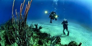 Aqua-Fi: &iquest;Internet bajo el agua? As&iacute; funciona el primer 'Wi-Fi submarino'&nbsp;
