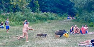 El nudista alem&aacute;n persigue en pelotas al feroz jabal&iacute; que le rob&oacute; el ordenador port&aacute;til