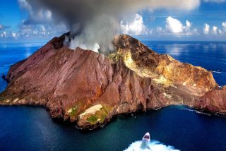 Tiburones que viven dentro de un volcán activo desconciertan a los científicos