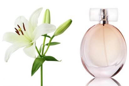 Perfumes con olor a lirio m&aacute;s vendidos en Amazon 