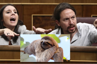 Frank Cuesta revienta Podemos: su v&iacute;deo &lsquo;col&aacute;ndose&rsquo; en el casopl&oacute;n de Galapagar con dos osos perezosos