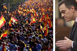 La 'Plataforma Pedro S&aacute;nchez Dimisi&oacute;n' saltar&aacute; a las calles con una gigantesca marcha en Madrid